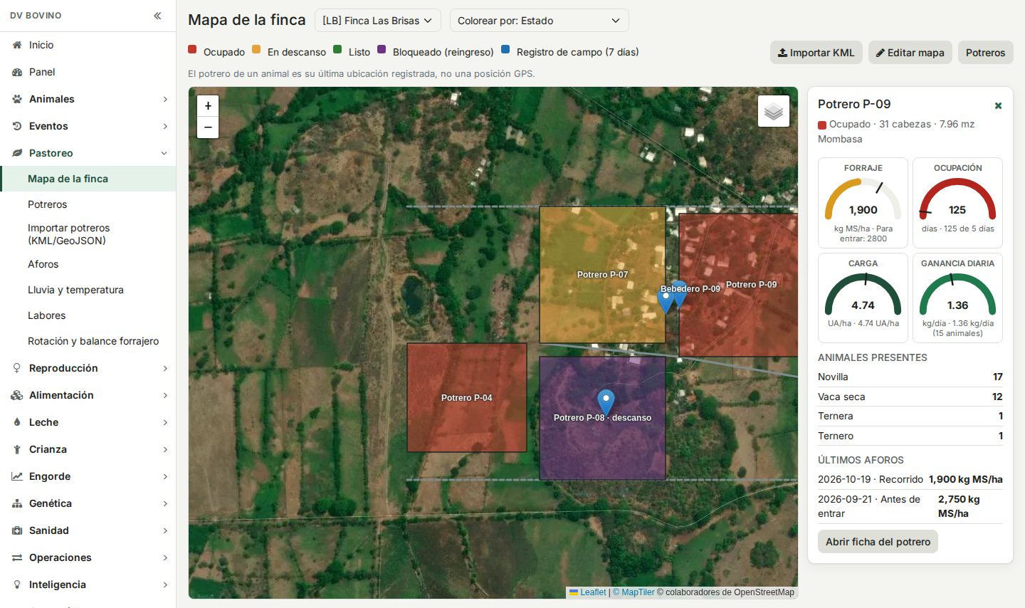 Mapa satelital de una finca en DV Bovino con potreros coloreados por estado (ocupado, en descanso, listo, bloqueado) y el panel de un potrero con medidores de forraje, días de ocupación, carga animal y ganancia diaria, sus animales y sus últimos aforos